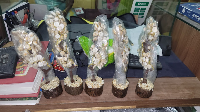 Project